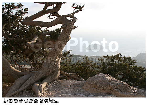 ������, ������, ���������, �������, �����, �����, ���, ����, ����, ������, ��������, ���������, ��������, ��������, ����, �����, �����, ������, �����������, �����, ���������, �����, �����