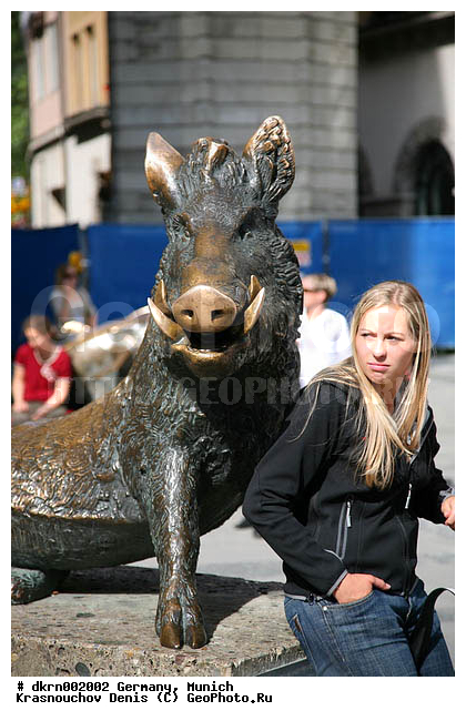 ��������, ������, �������, ���������, ���������, �������, �������, �����, ������� �������, ��������