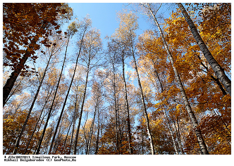 ��������� ��������� �����, ��������, ������, �����, ��������, ����, ����� � ������