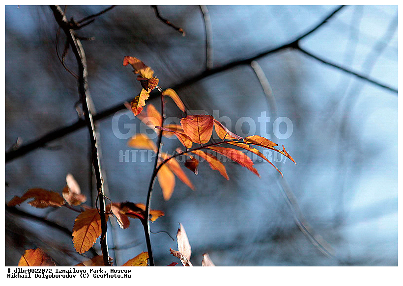 ��������� ��������� �����, ��������, ������, �����, ��������, ����, ����� � ������