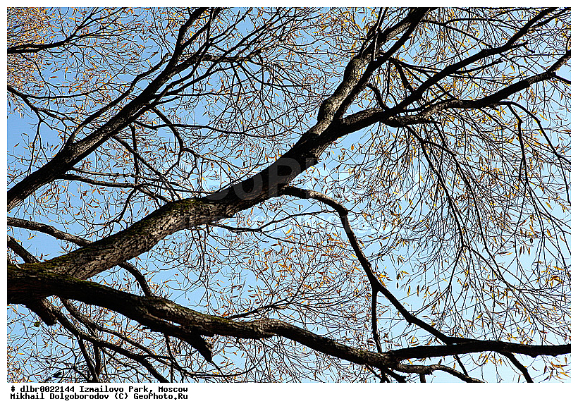 ��������� ��������� �����, ��������, ������, �����, ��������, ����, ����� � ������