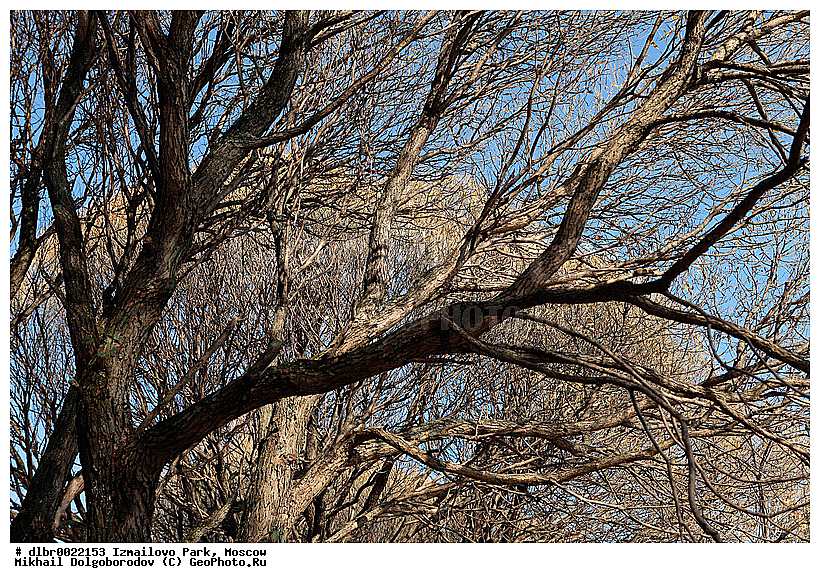 ��������� ��������� �����, ��������, ������, �����, ��������, ����, ����� � ������