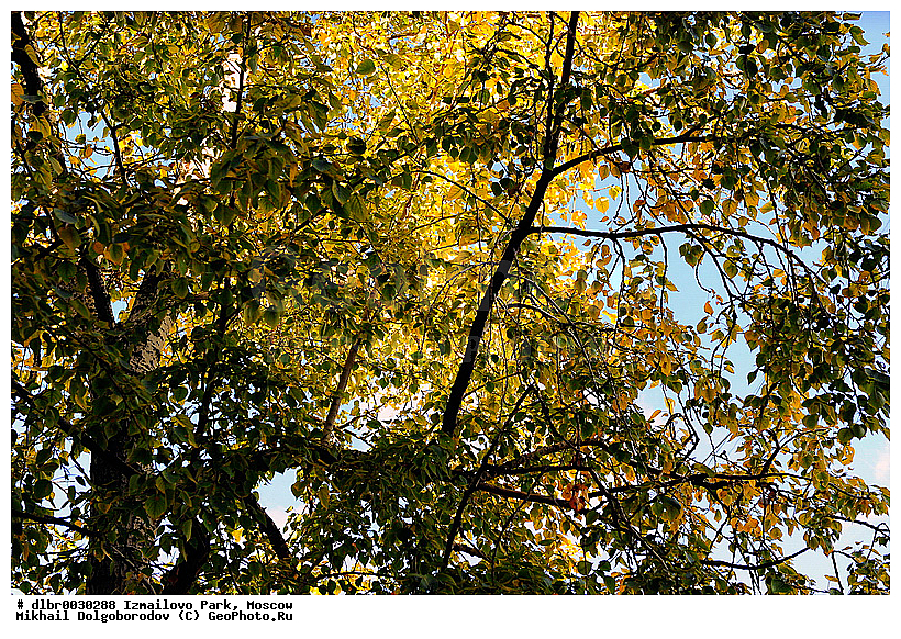 ��������� ��������� �����, ��������, ������, �����, ��������, ����, ����� � ������