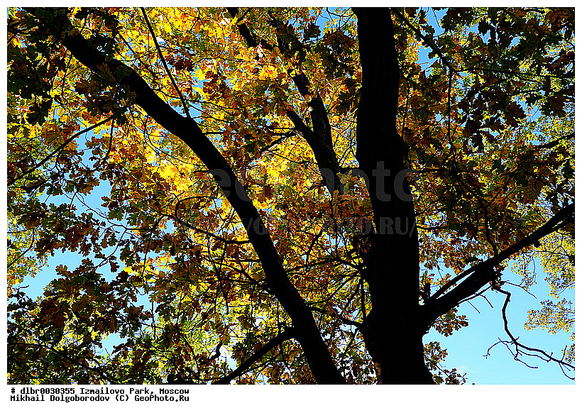 ��������� ��������� �����, ��������, ������, �����, ��������, ����, ����� � ������