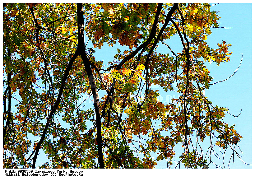 ��������� ��������� �����, ��������, ������, �����, ��������, ����, ����� � ������