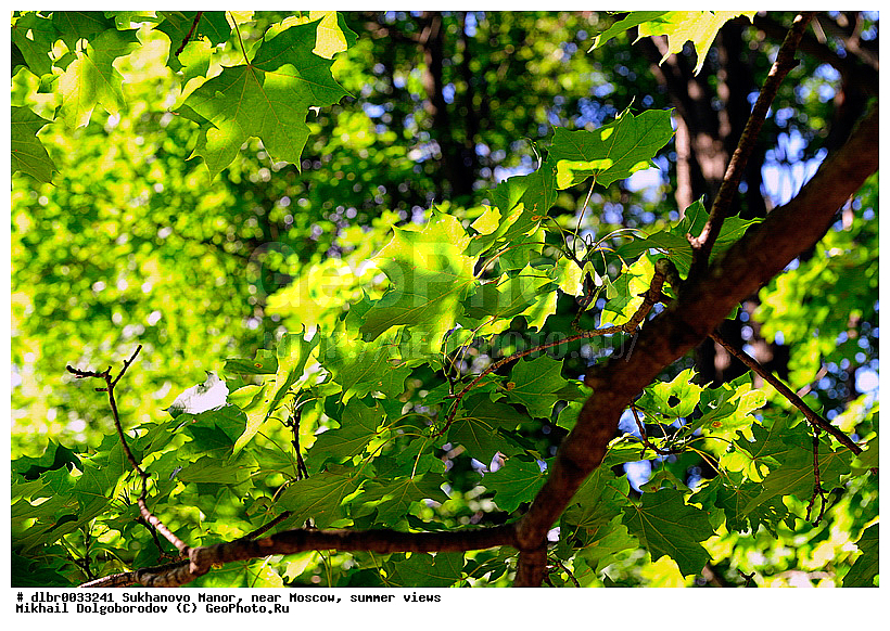 ������ ������, �����������, ������� ��������