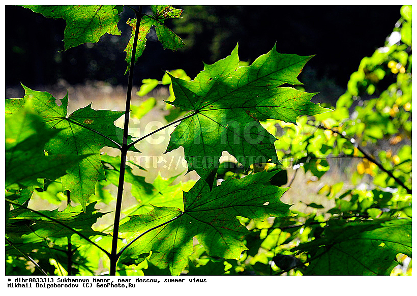 ������ ������, �����������, ������� ��������