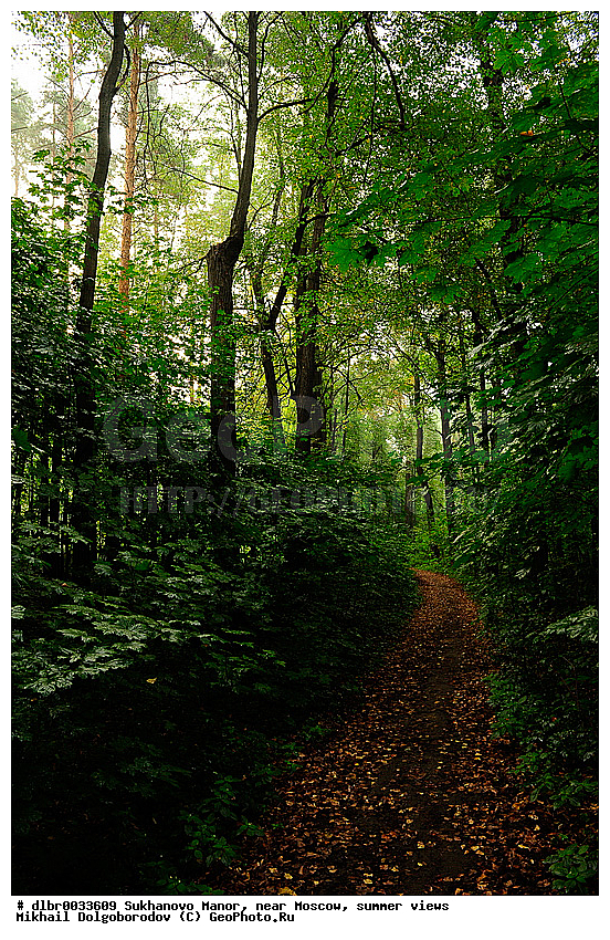 ������ ������, �����������, ������� ��������