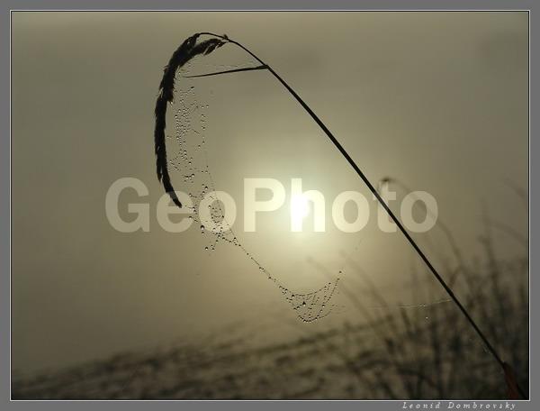 ����, ���������, �������, �������, ����, ������, �����, ���o