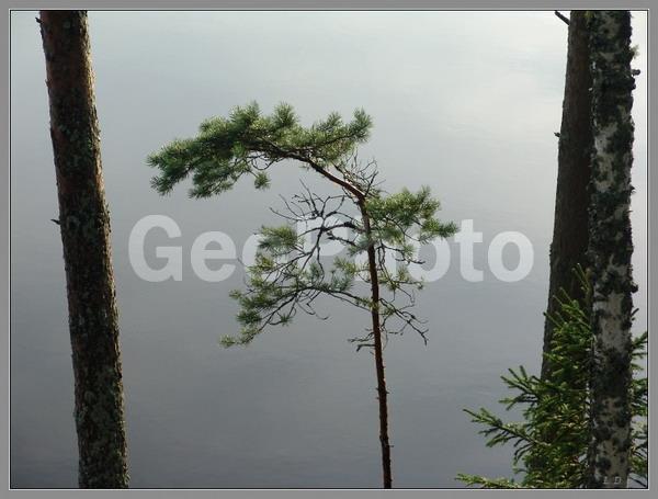 ����, �����, �����, ���o