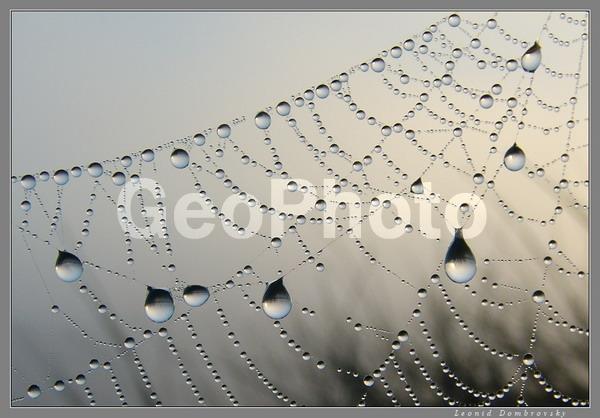 ����, �������, �������, ����, �����, ���o