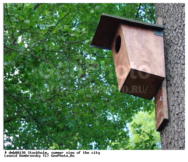 ���������, ������