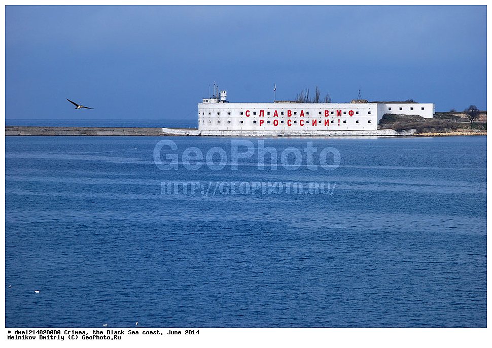 ����, ������������ ���������, ������� 2014, �����������, ���������������� �������