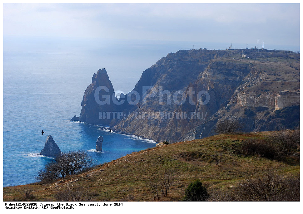 ����, ������������ ���������, ������� 2014, ��� �������