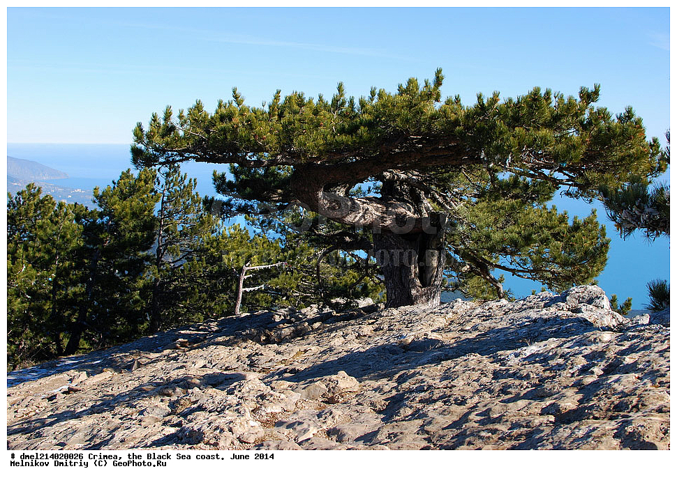 ����, ������������ ���������, ������� 2014, ����� �������, ����� ��-�����