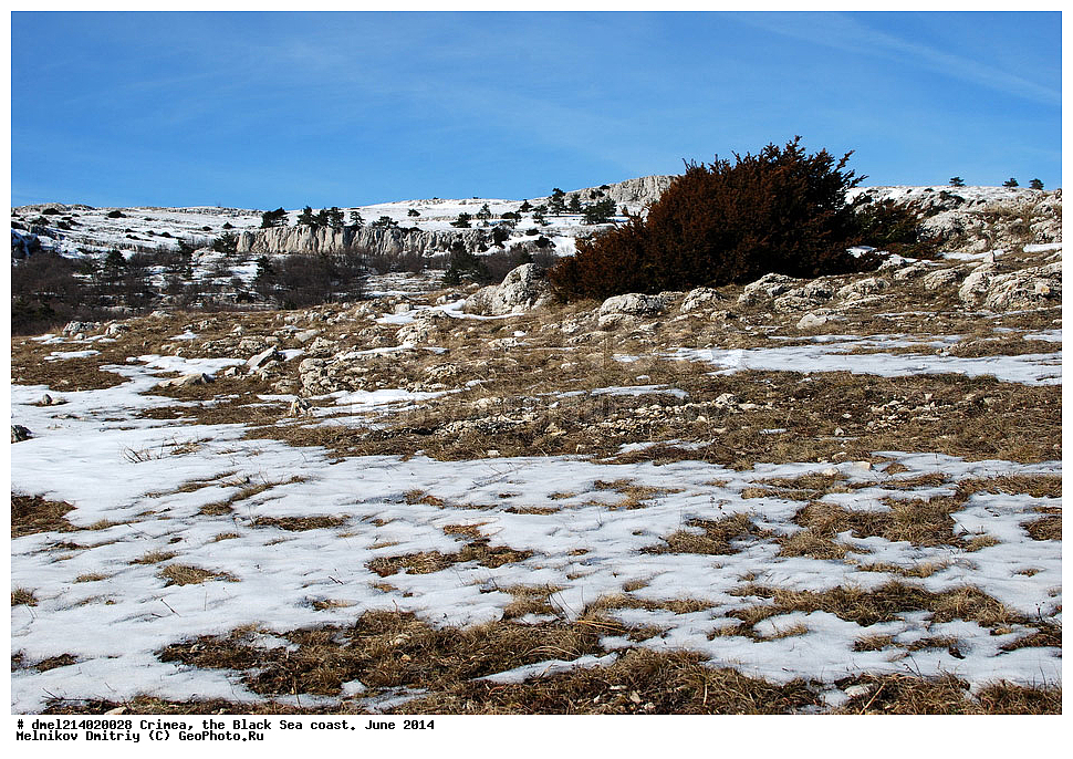 ����, ������������ ���������, ������� 2014, ����� ��-�����