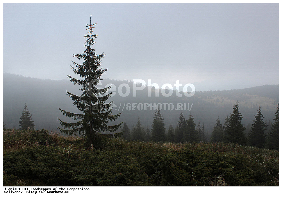 ������, �������, ����, ���, �������, ���, �����, �����, ����, �����