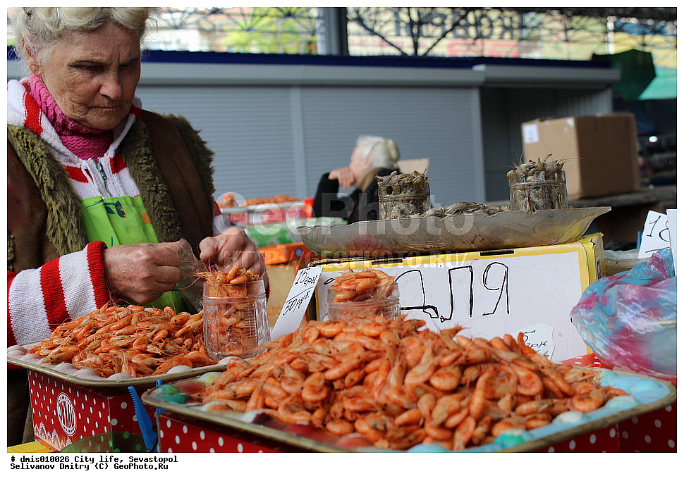 �����������, ����� ������, ��������� ������, �����, ��������, ��������, ��������, �������, ������������, ����������