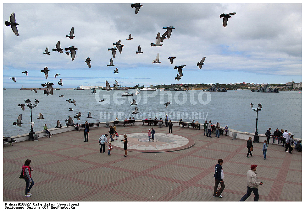 �����������, ����� ������, ��������� ������, ����������, �����, ����, ����, ��������, ��������