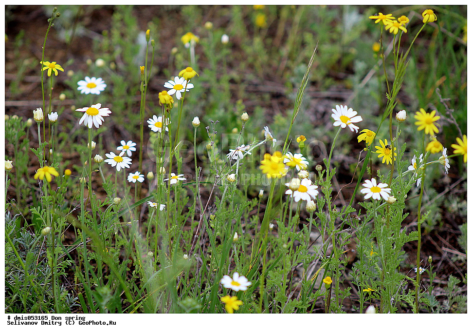 ���, ���������� �������, ����� �������, �����, �����, ���, �����, �������, ���, ��������, �������, ������