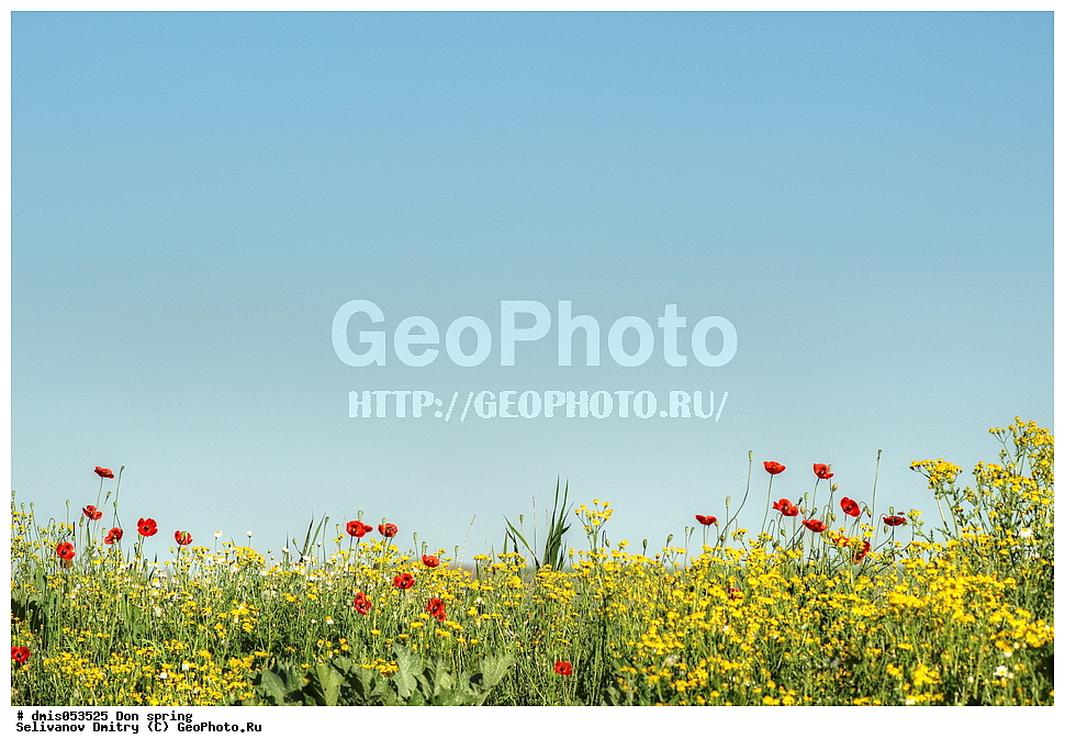 ���, �����, ������, ���������� ������� 