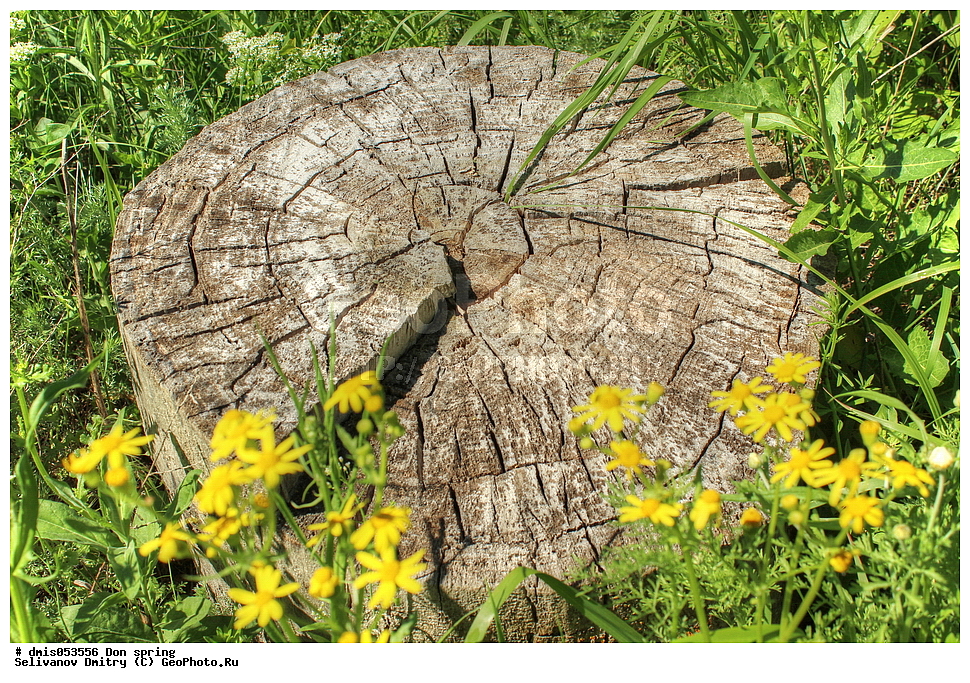 ���, �����, ������, ���������� ������� 