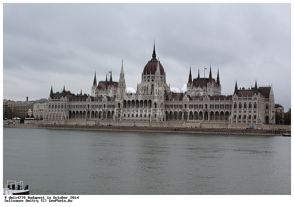 ��������, �������, 2014, ��������� ������, ��������� �������, ��� �������������, ����������, �����, ����