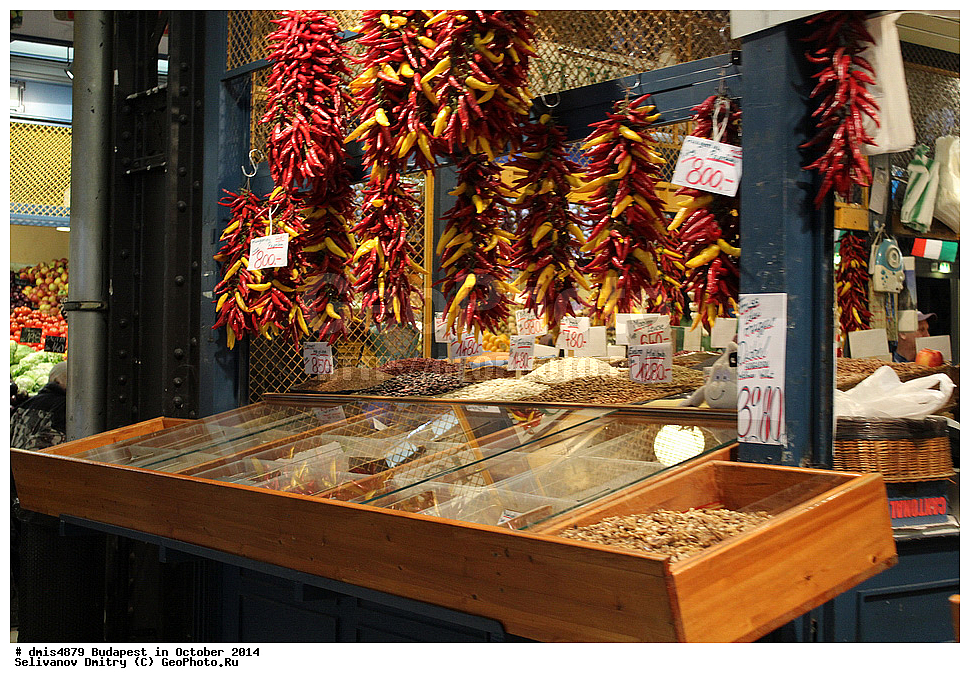 ��������, �������, ������, ��������, ���, ����������� �����, �������, 