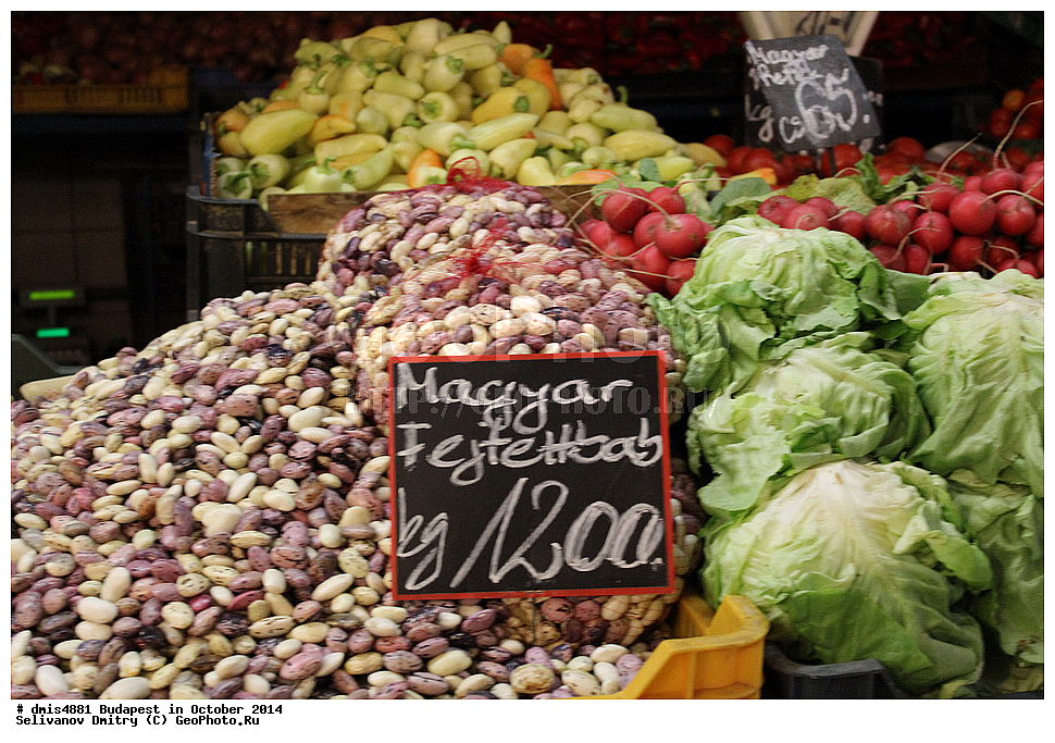 ��������, �������, 2014, ��������� ������, ��������, �������, ������, ��, ����, ������, �����, ����, ��������, ���, ������, �������� ���������, �����, ��������� �������, ����������� �����, ��� �� �����, �����, �������, ��������, ��������, ������ ������, ����������, ��������, ������ �������, ��������� �������, ����� ������� � ���� �������, �����, �������� ������, �������� ������, ���������� ����, ������ ������