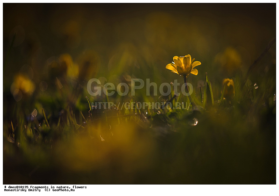  ��������, ���������� �������, �����, ����������, , ������, ���������- ���������, ����, �����, ���, �����, �����, ���, �������.