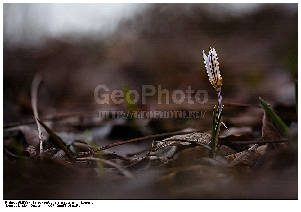 ��������, �������, �����, ������, ���������, ��������, ������, �����,  ������, ����� �����, �������� �������, ������, ����, �����, ������, �������, ���������, ���������