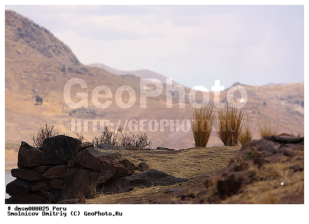 ����, ����������, �����, ����, ����� �����, �����, �����