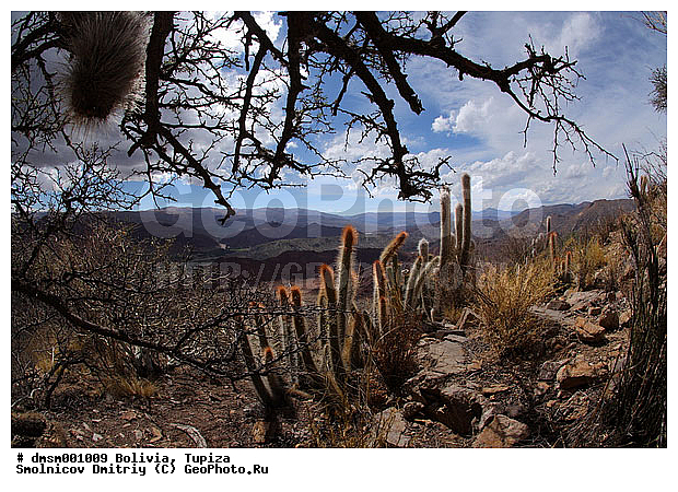 �������, ������, ������, ������, ������� ������, ������, ������