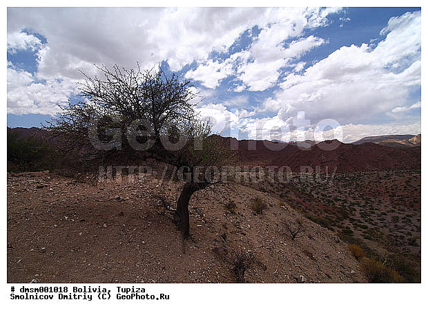 �������, ������, ������, ������, ������� ������, ������, ������