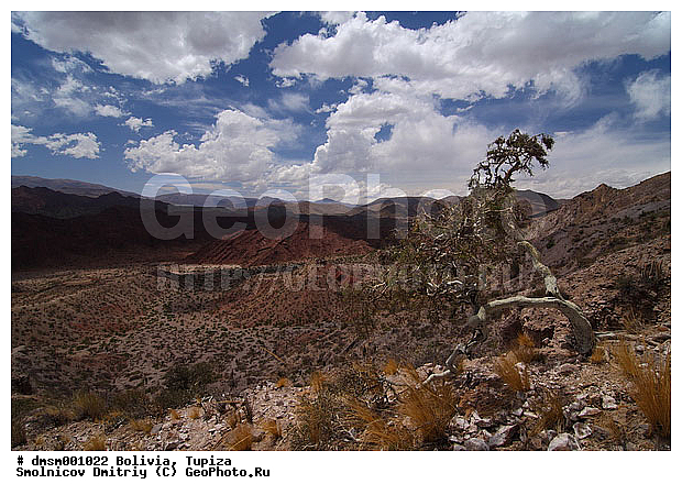 �������, ������, ������, ������, ������� ������, ������, ������