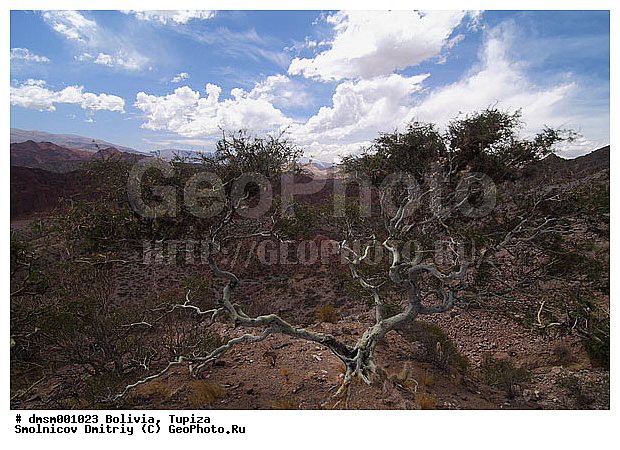 �������, ������, ������, ������, ������� ������, ������, ������