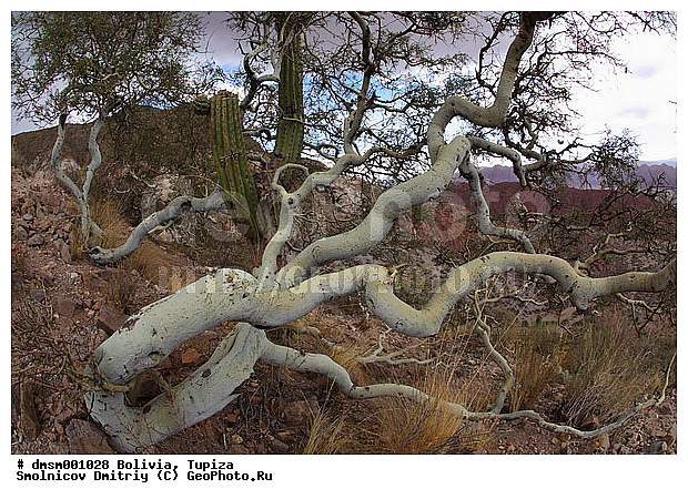 �������, ������, ������, ������, ������� ������, ������, ������