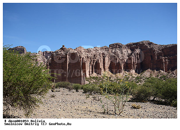 �������, ����������, ����, �������, ������, ������ �����, �����, ������