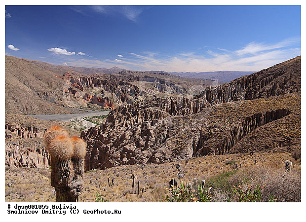 �������, ����������, ����, �������, ������, ������ �����, ��������, �����, ������, ������, ������