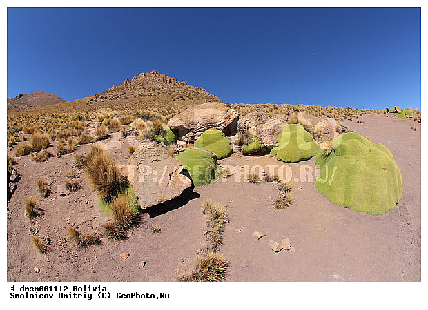 �������, ��������, ����������, ����, ������, ��������, �����, ������, ������