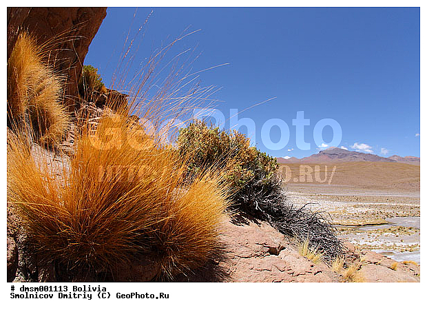 �������, ����������, ����, ������, �����, �����, �����, �����