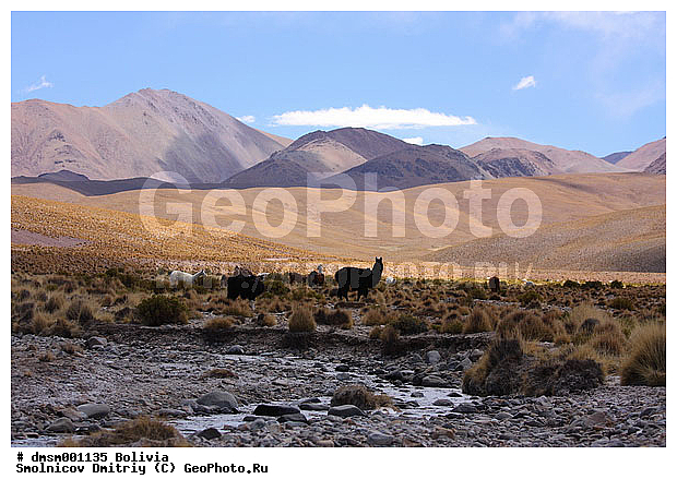 �������, �������, ����������, ����, ����, �����