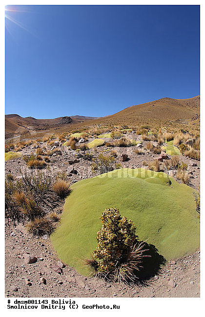 �������, ��������, ����������, ������, ����, �����, ����, ��������, �����, �����