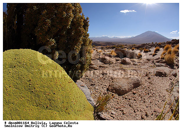 �������, ��������, ����������, ������, ������, ����, �����, ����, ��������, ������, �����, �����