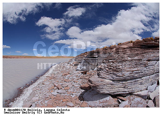 �������, ������ �������, ����������, �����, �����, ����, �����, ������, �����