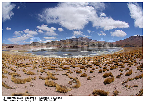 �������, ������ �������, �����, ����, ������, �����, �����, �����, �����