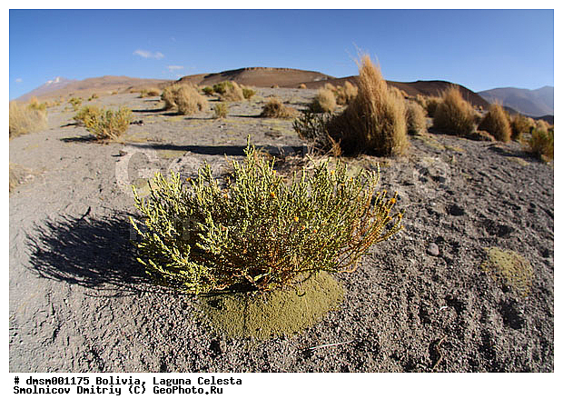 �������, ����������, ������, �����, ����, ��������, �����