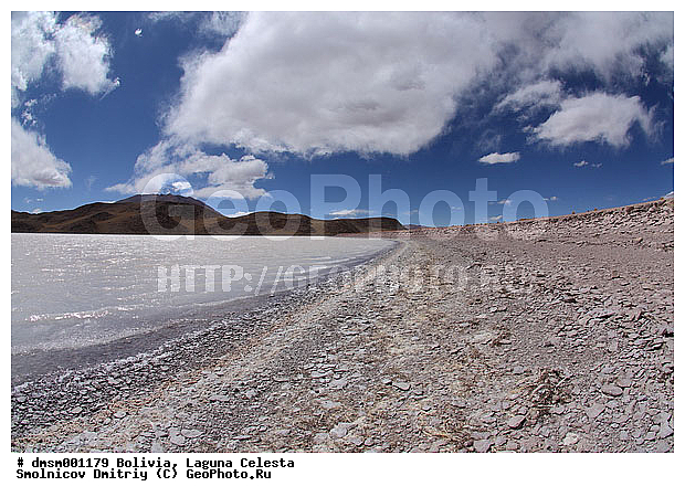 �������, ������ �������, ����������, �����, �����, ����, �����, ������, �����