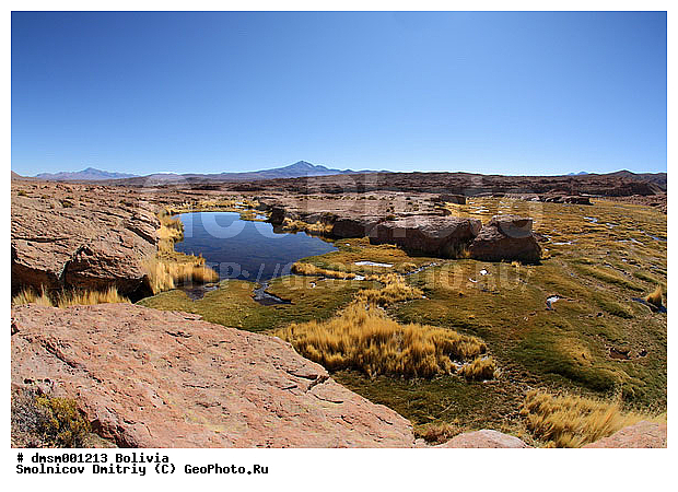 �������, ����������, ����, ������, ����, ������, �����, ������� �����, ��, ���, �����, �����, �����