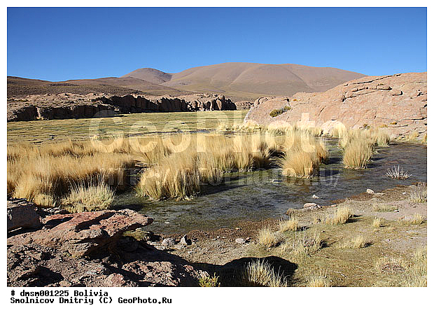 �������, ����������, ����, ������, ����, ������, �����, ������� �����, ��, ���, �����, �����, �����